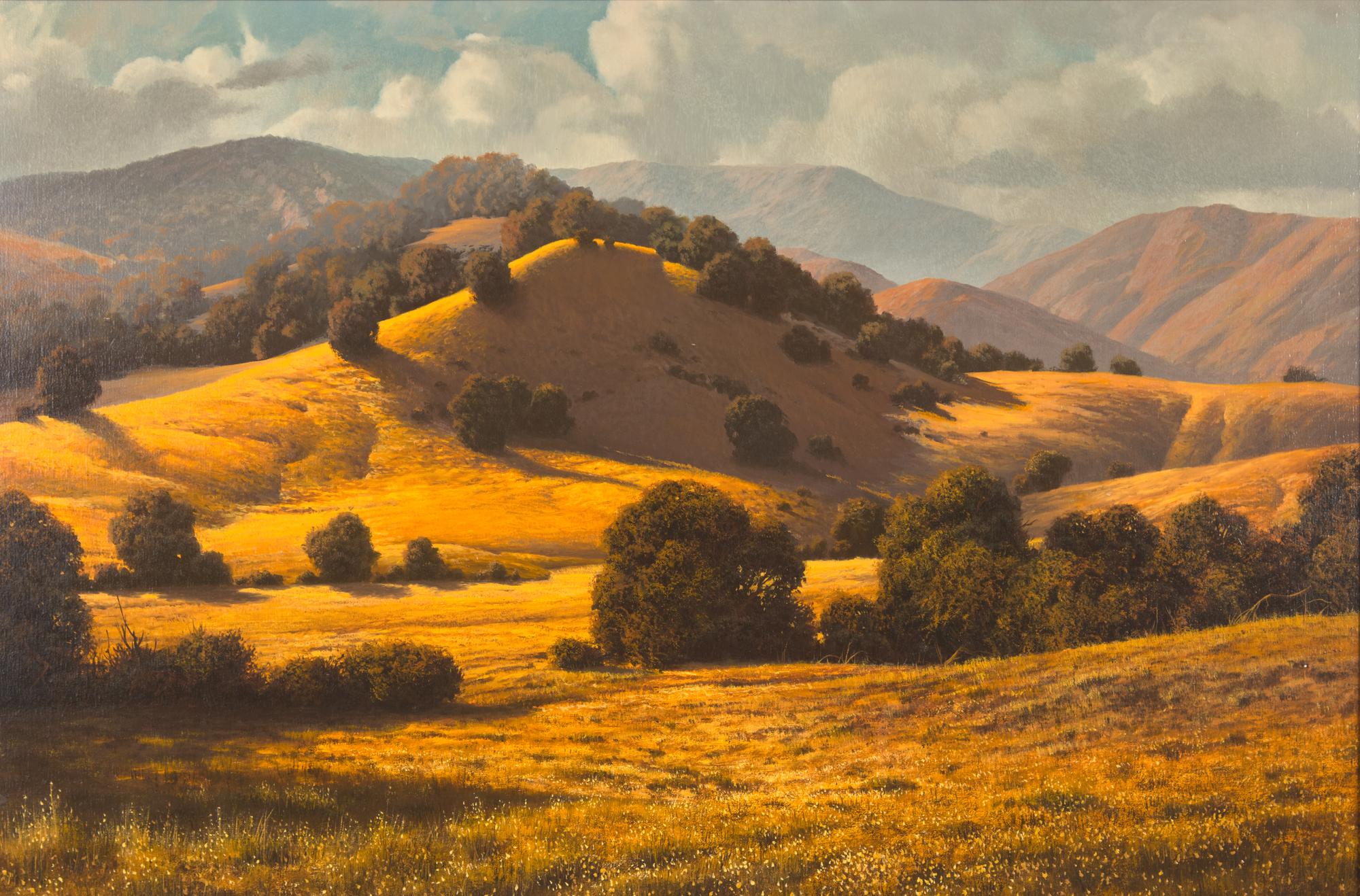 California Oaks
