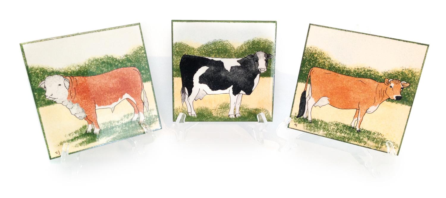 Eleven Hand Painted Ceramic Wall Tiles Height 6 x width 6 inches