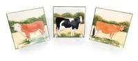 Eleven Hand Painted Ceramic Wall Tiles Height 6 x width 6 inches