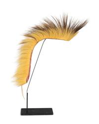 Plains Porcupine Hair Roach