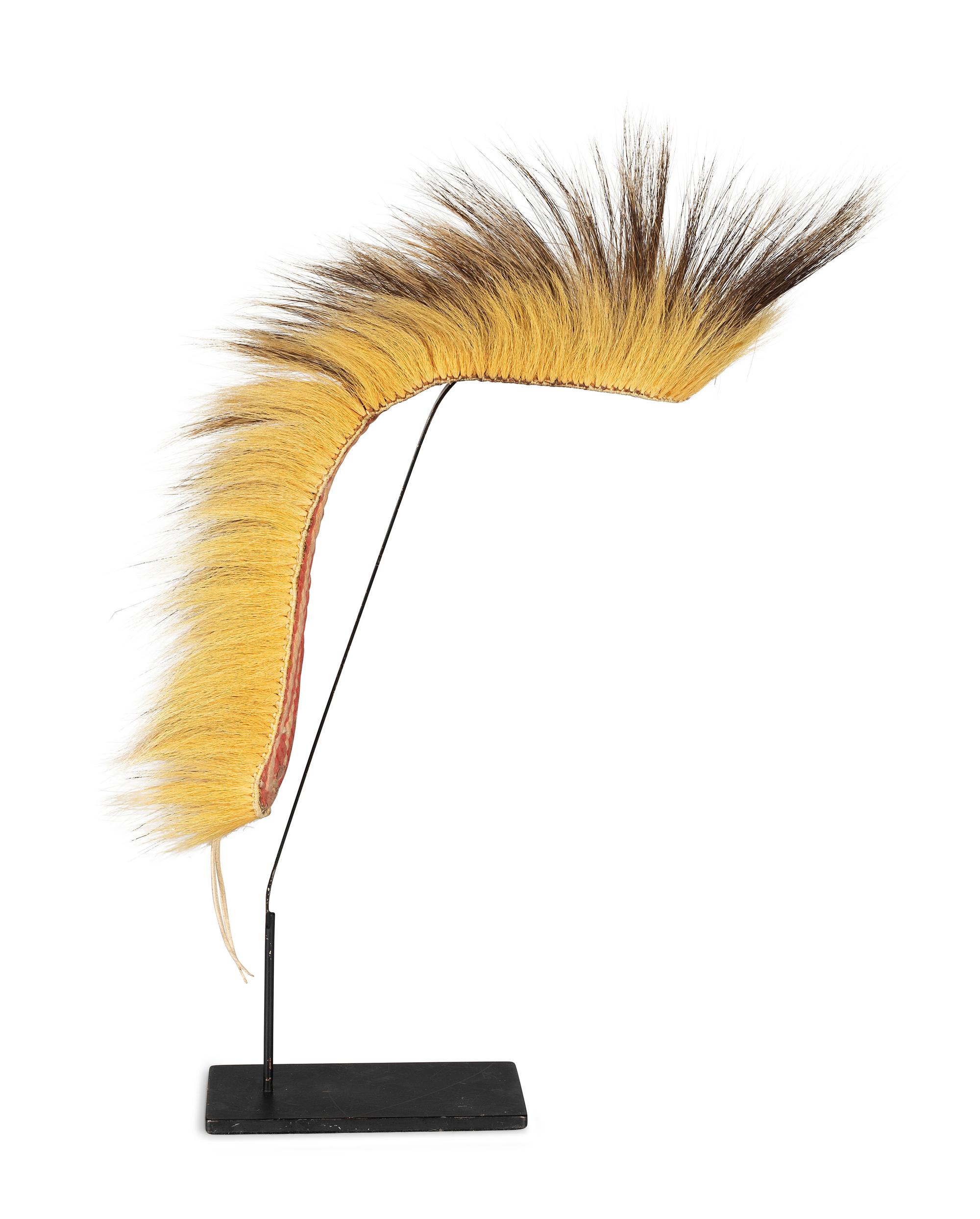 Plains Porcupine Hair Roach