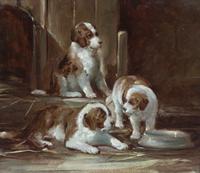 English School, (20th century), Three Brown and White Mastiff Puppies