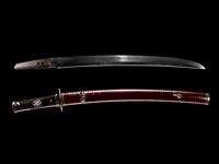 A Wakazashi