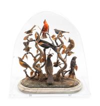 A Diorama of Ten Birds — EARLY 20TH CENTURY