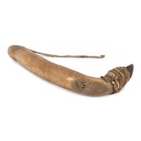 Plains Elk Antler Hide Scraper