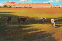 Horse Pasture in Red Rock Country , 2011