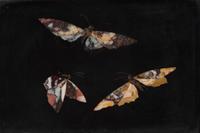 A Pair of Italian Pietra Dura Plaques