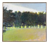 Line of Dark Trees & Weather Front