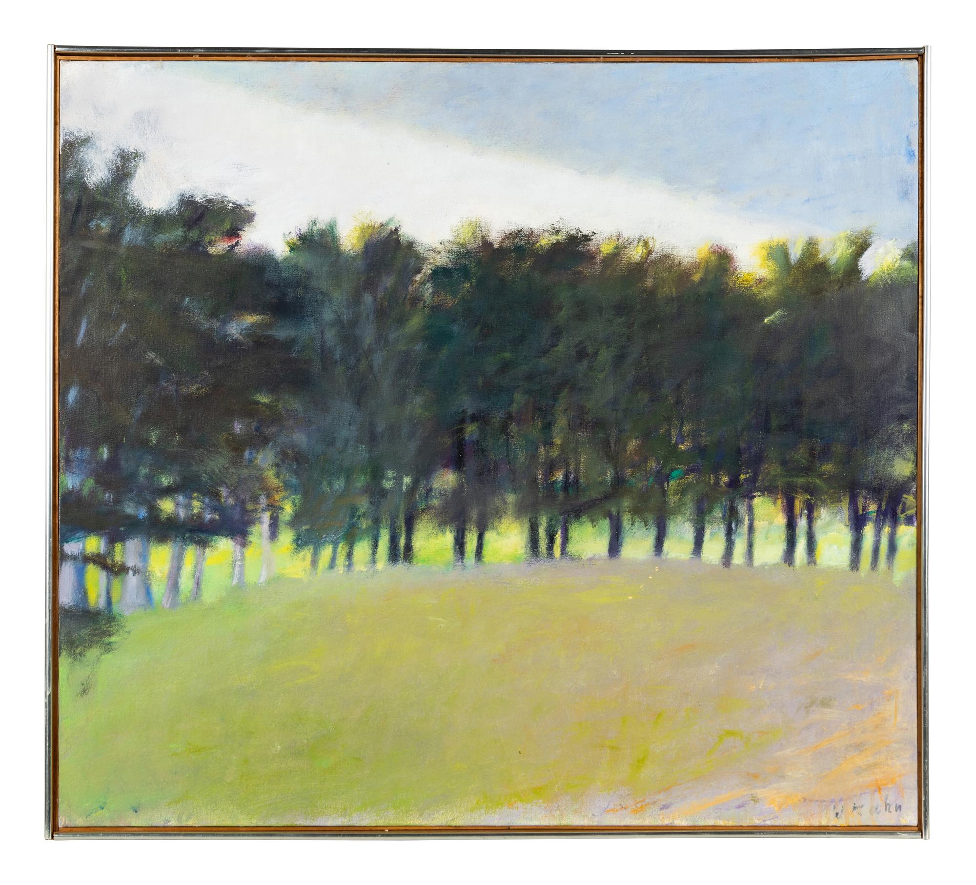 Line of Dark Trees & Weather Front