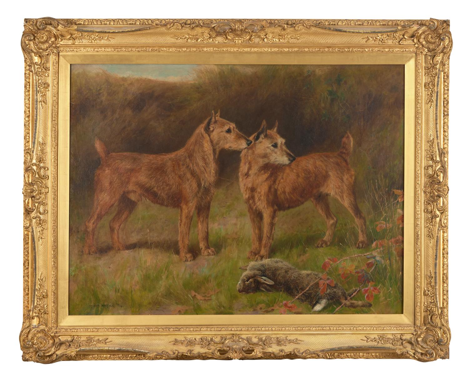 Irish Terriers , 1894
