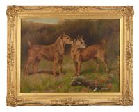 Irish Terriers , 1894