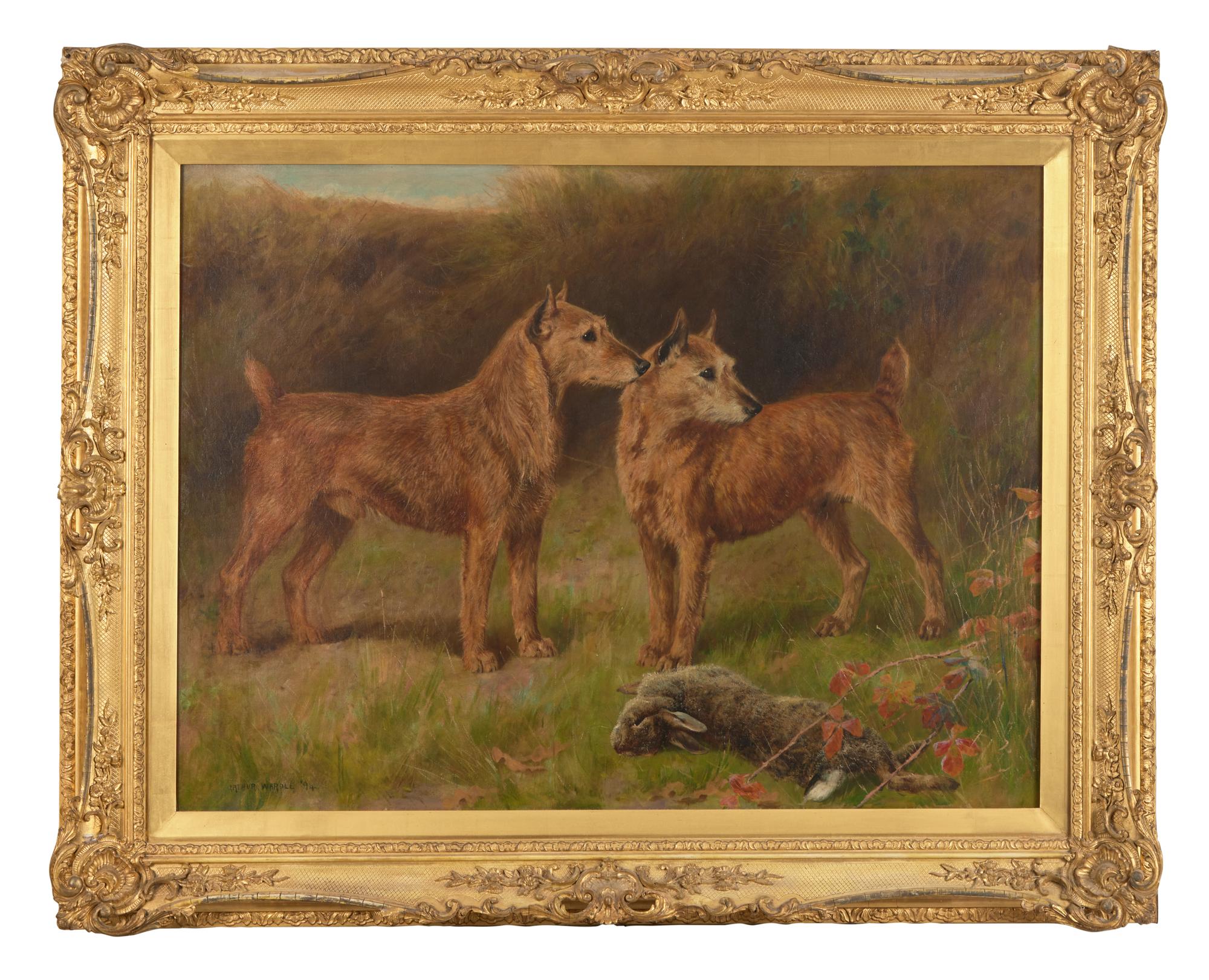 Irish Terriers , 1894