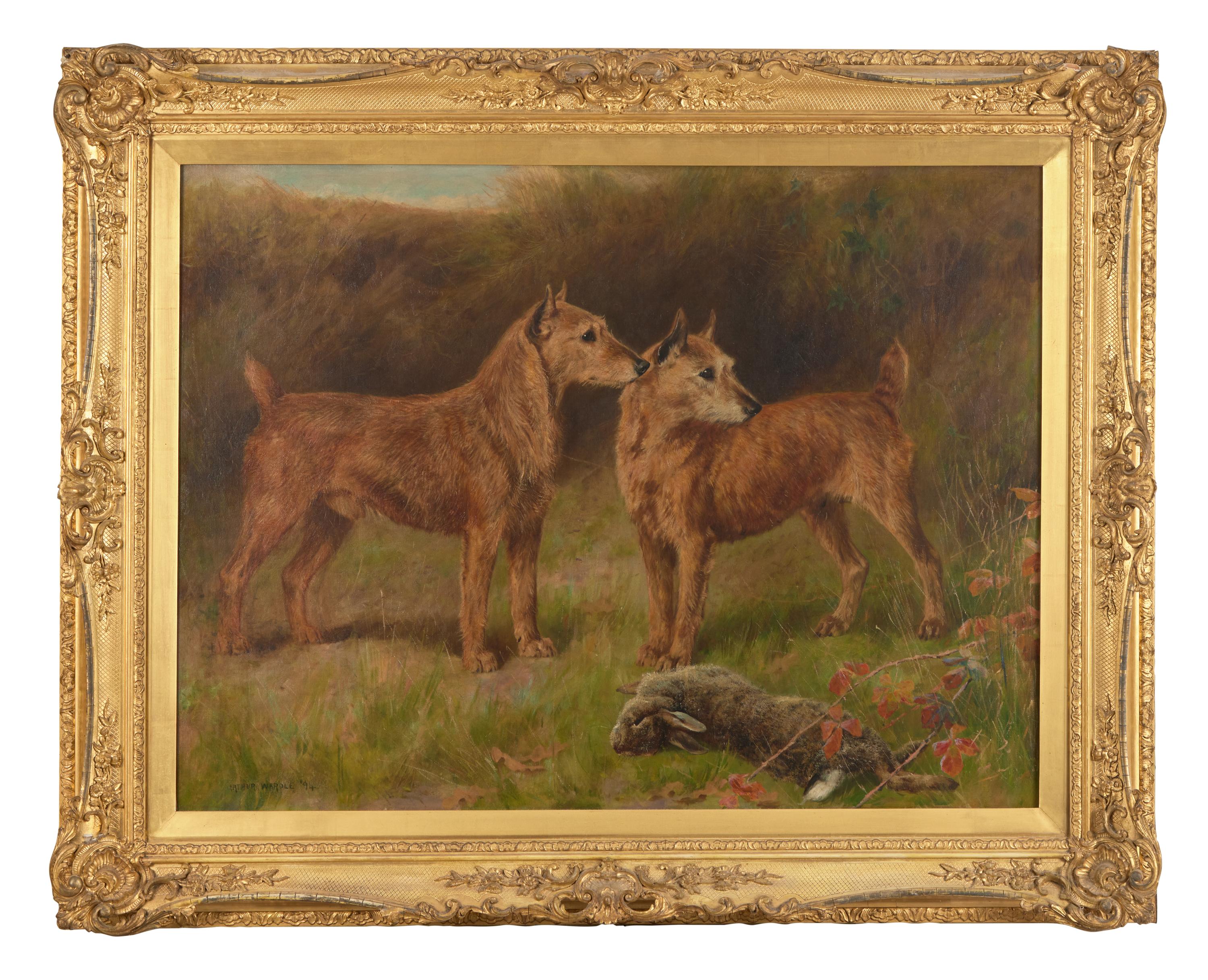 Irish Terriers , 1894