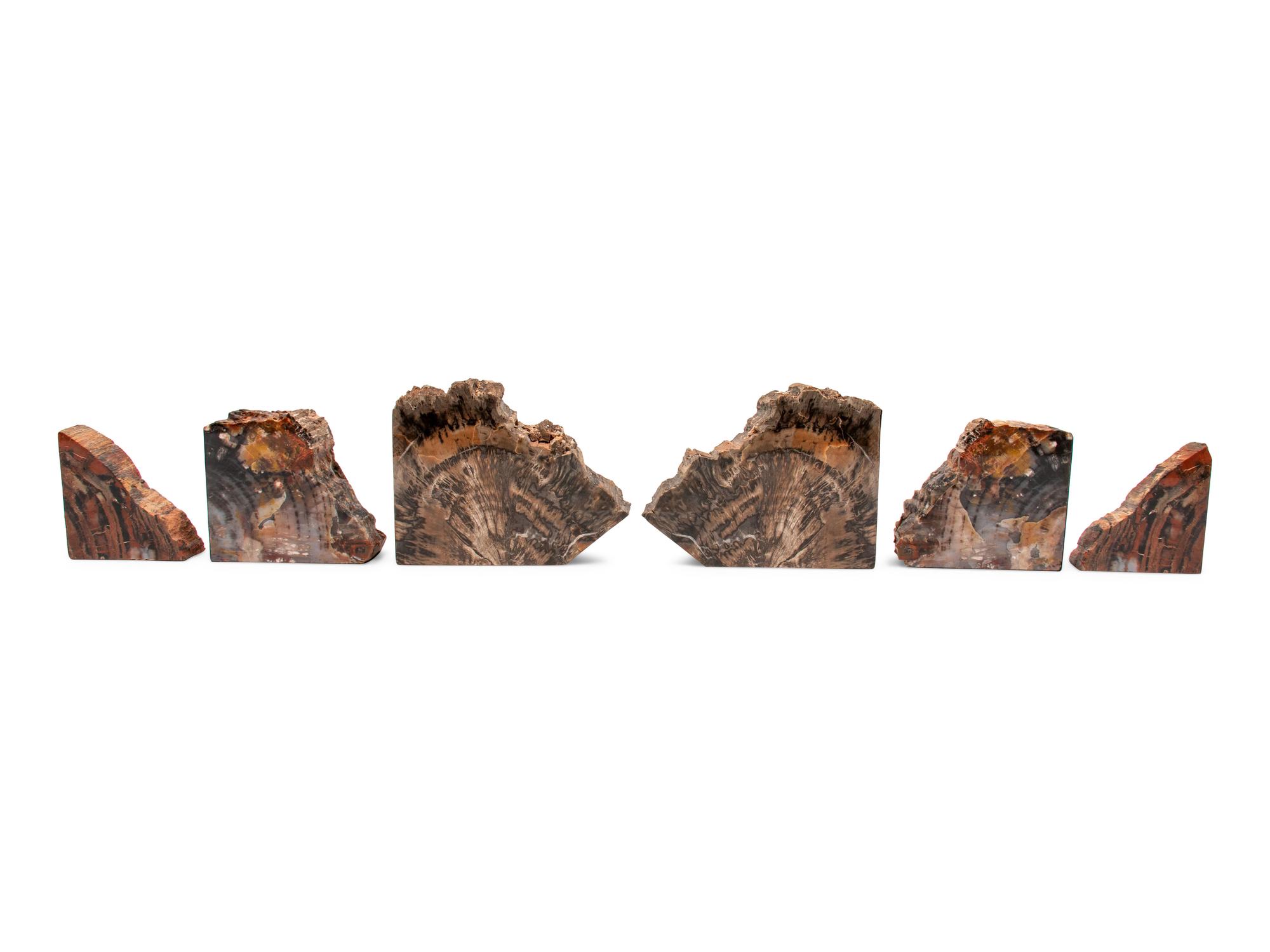 Three Pairs of Petrified Wood Bookends