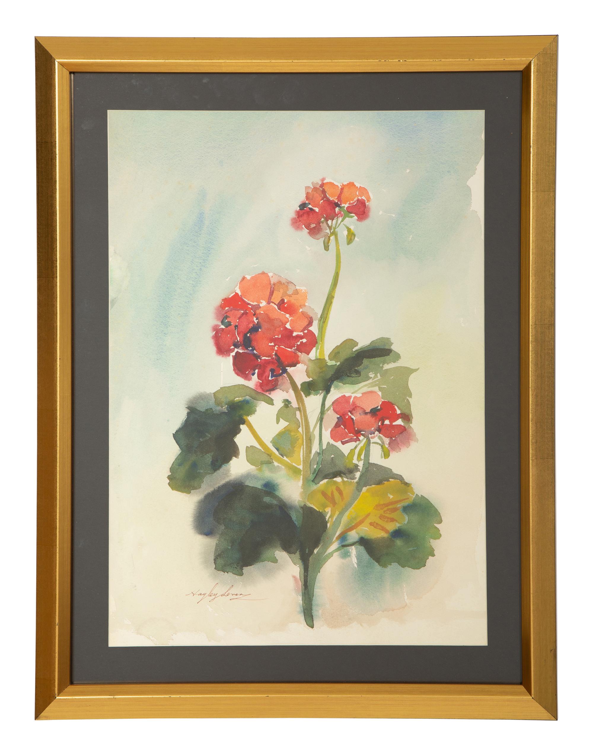 Geraniums