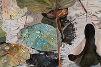 Lily Pads