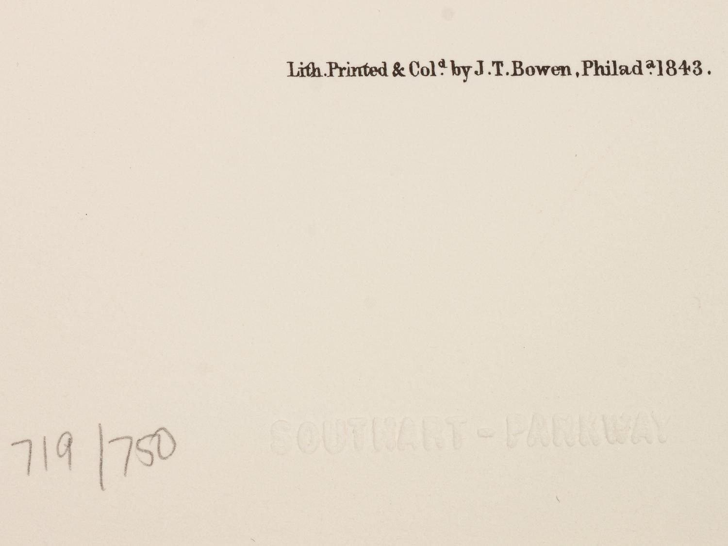 Southart Parkway's Limited Edition Facsimiles from Viviparous Quadrupeds of North America; Set Two: Audubon Mammals of the Southeast