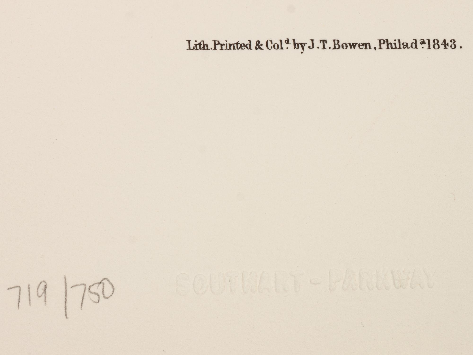 Southart Parkway's Limited Edition Facsimiles from Viviparous Quadrupeds of North America; Set Two: Audubon Mammals of the Southeast