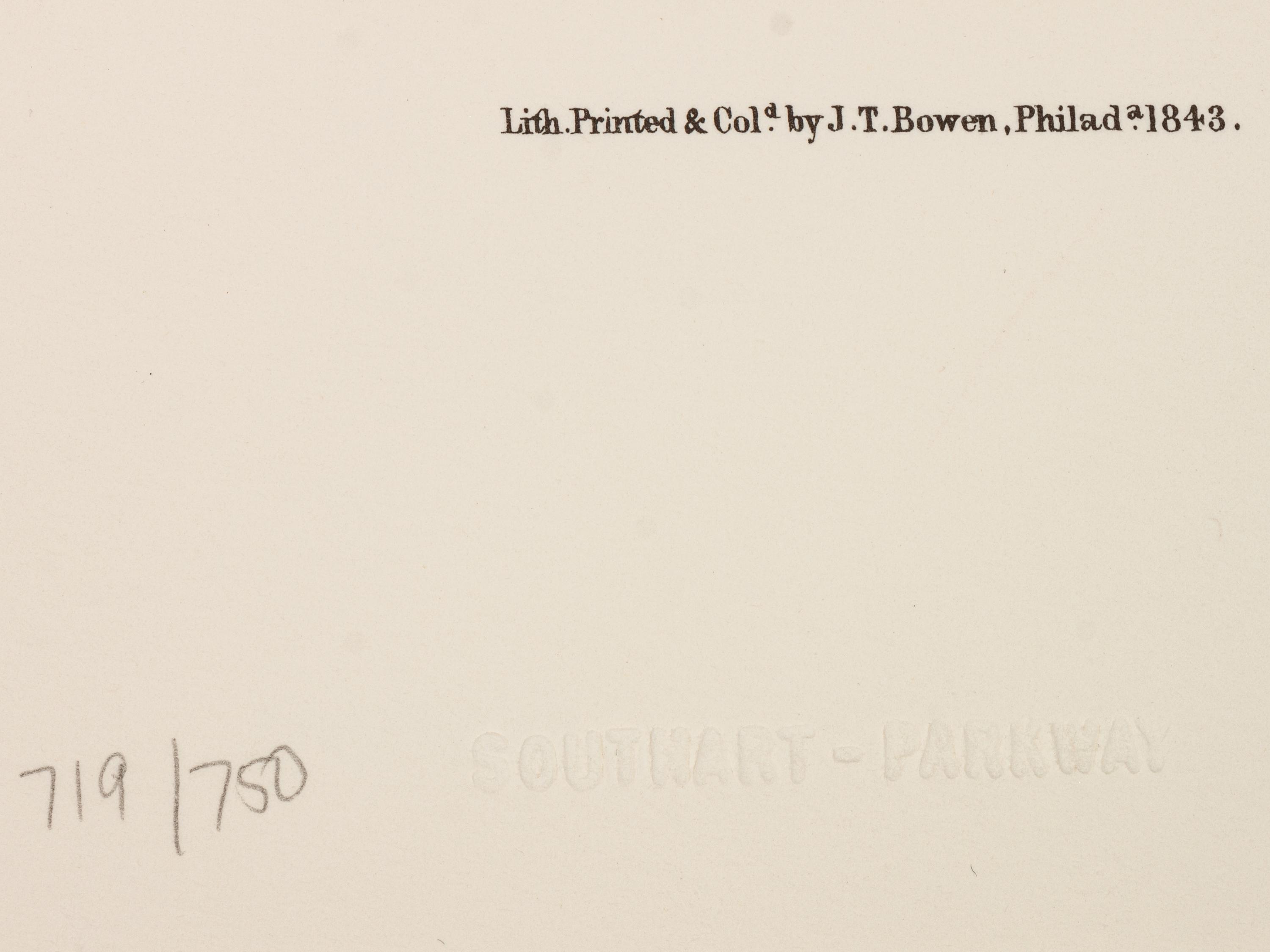Southart Parkway's Limited Edition Facsimiles from Viviparous Quadrupeds of North America; Set Two: Audubon Mammals of the Southeast