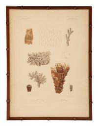 A Set of Four Framed Hand Colored Engravings