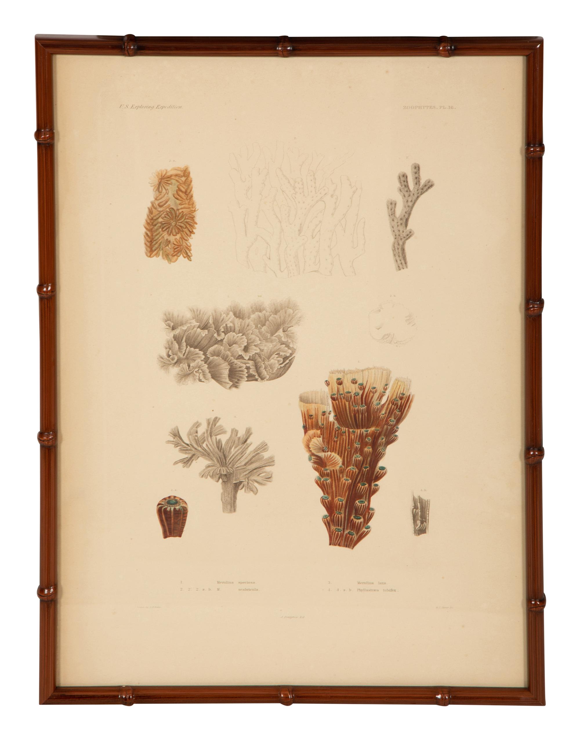 A Set of Four Framed Hand Colored Engravings