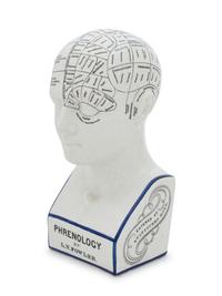 A Painted Ceramic Phrenology Bust