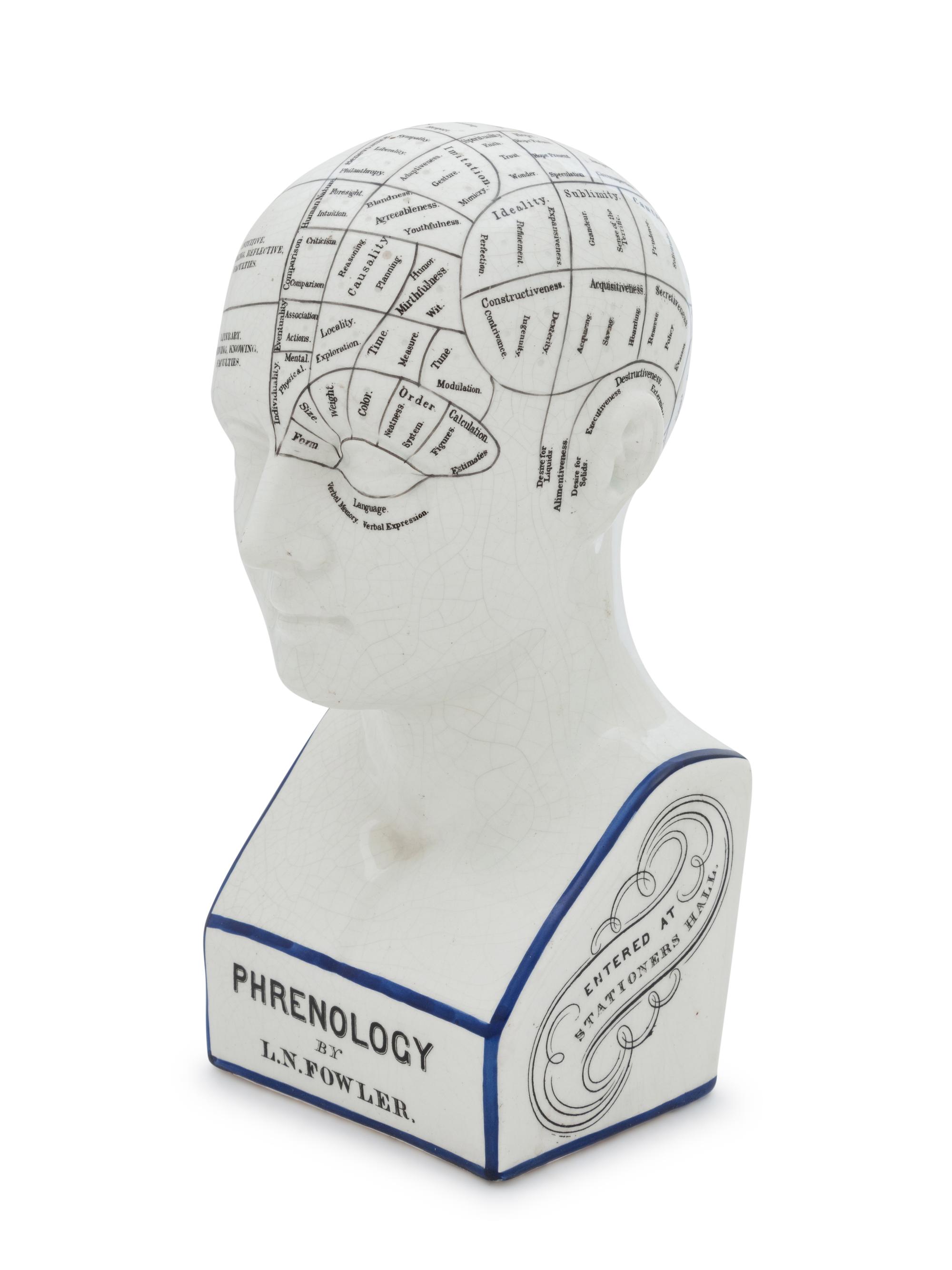 A Painted Ceramic Phrenology Bust