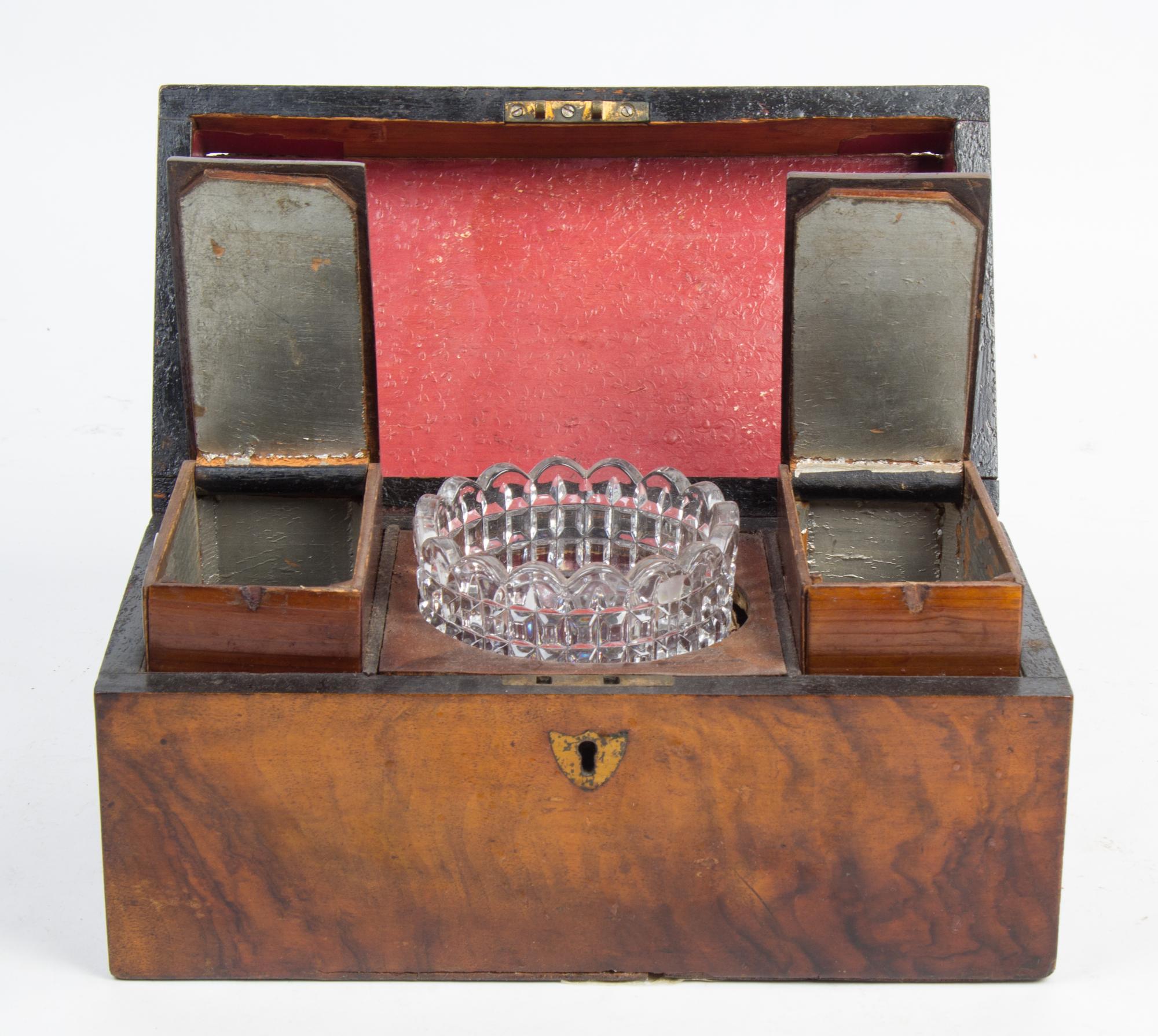 A Regency Burlwood Tea Caddy Width 10 3/4 inches. — EARLY 20TH CENTURY