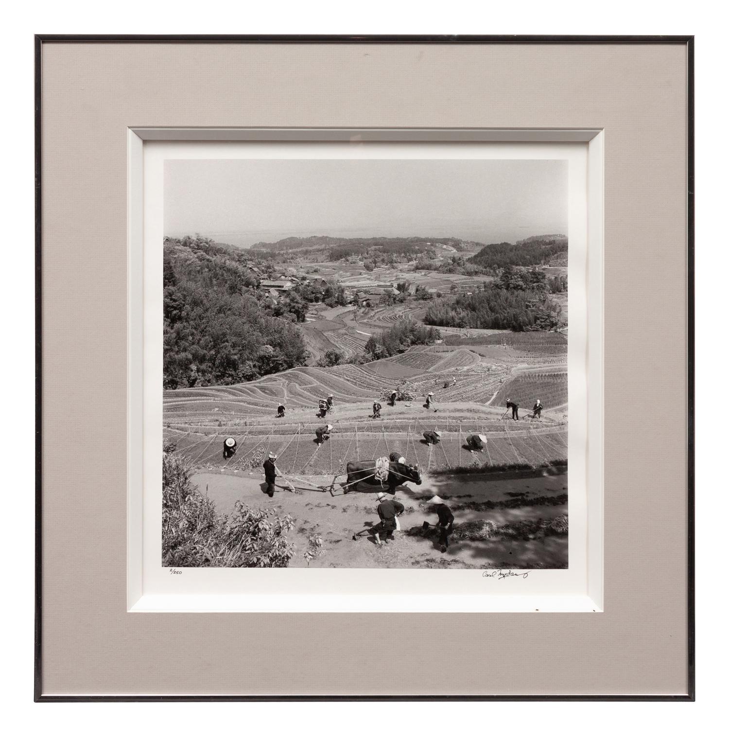 A group of four photographs ( Ministers Meeting, Rome, 1940; Preparing the Land to Plant Rice , 1949; Unloading Rice at Kobe , 1949; Bricks for Building, Greenbelt, MD, c. 1939)