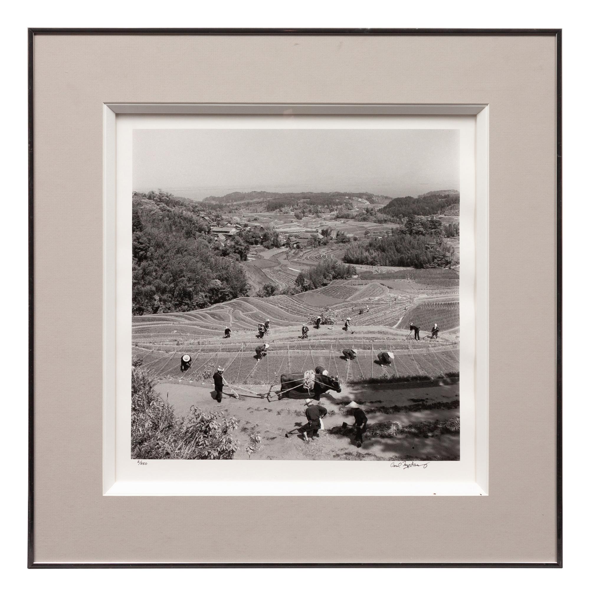 A group of four photographs ( Ministers Meeting, Rome, 1940; Preparing the Land to Plant Rice , 1949; Unloading Rice at Kobe , 1949; Bricks for Building, Greenbelt, MD, c. 1939)