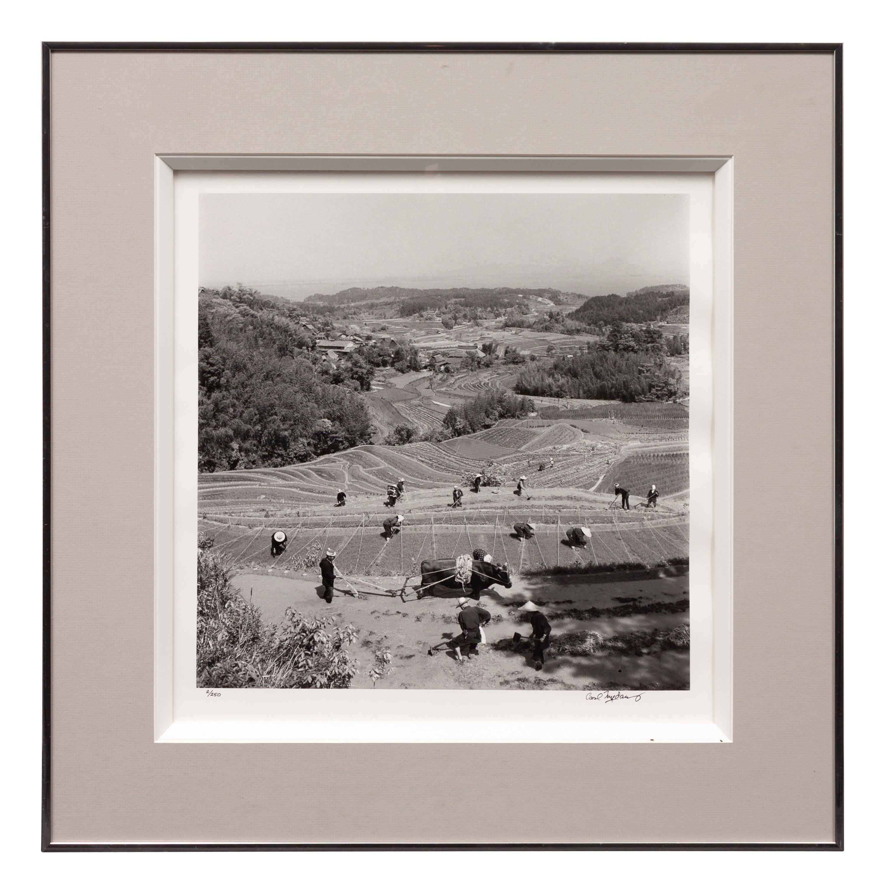 A group of four photographs ( Ministers Meeting, Rome, 1940; Preparing the Land to Plant Rice , 1949; Unloading Rice at Kobe , 1949; Bricks for Building, Greenbelt, MD, c. 1939)
