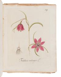KERNER, Johann Simon (1755-1830). Abbildung Aller Oekonomischen Pflanzen. Stuttgart: Christoph Friedrich Cotta, 1786, 1788.