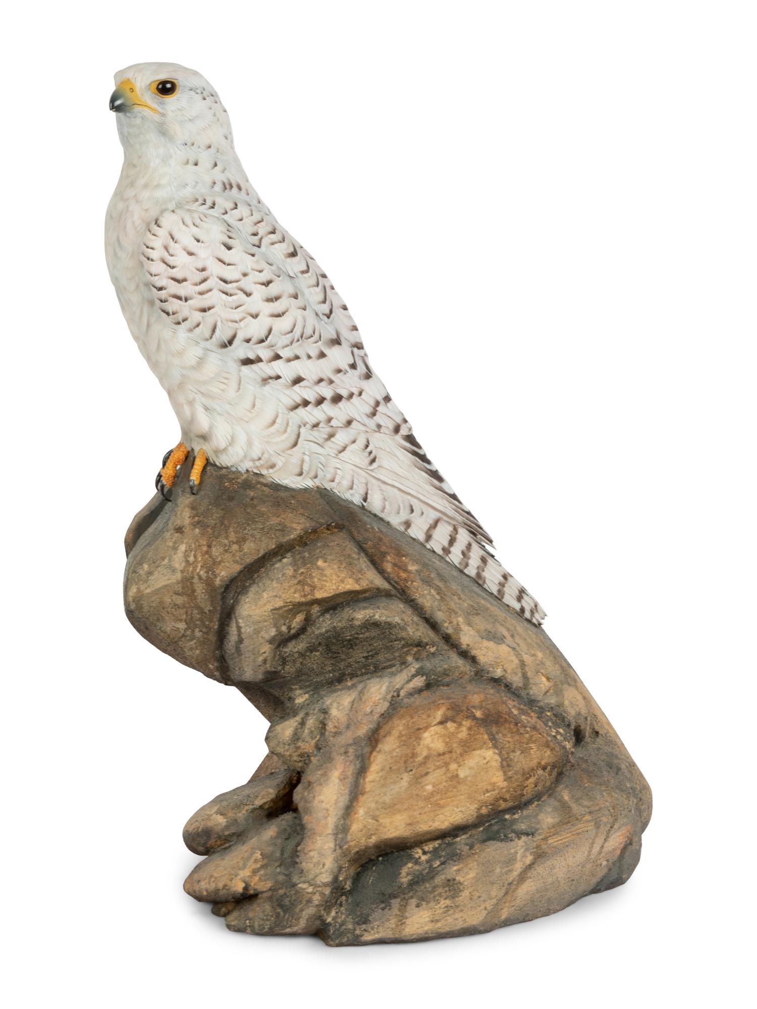 Dignity - Icelandic Gyrfalcon