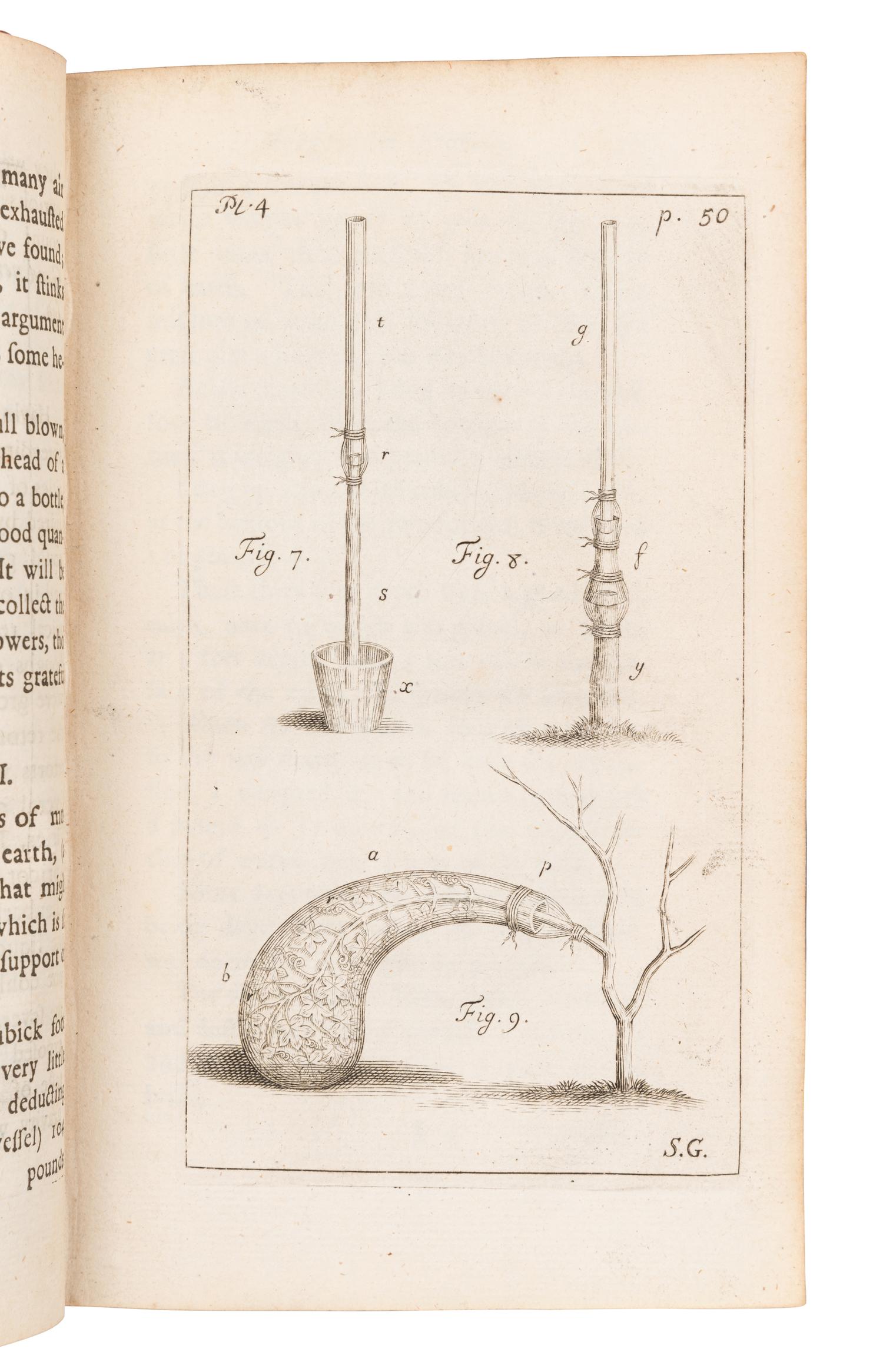 [BOTANY -- PLANT HYBRIDIZATION]. A group of 25 works, including: