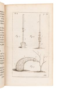 [BOTANY -- PLANT HYBRIDIZATION]. A group of 25 works, including:
