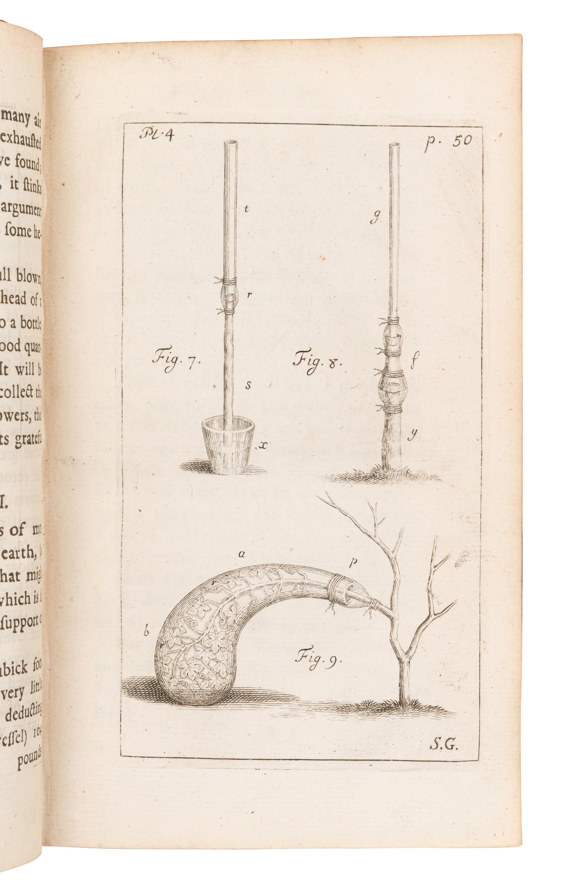 [BOTANY -- PLANT HYBRIDIZATION]. A group of 25 works, including: