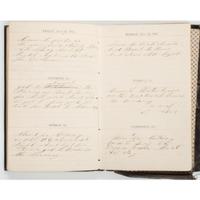 Civil War Diary of Thomas Mains, 33rd Independent Battery, Light Artillery, NYSV