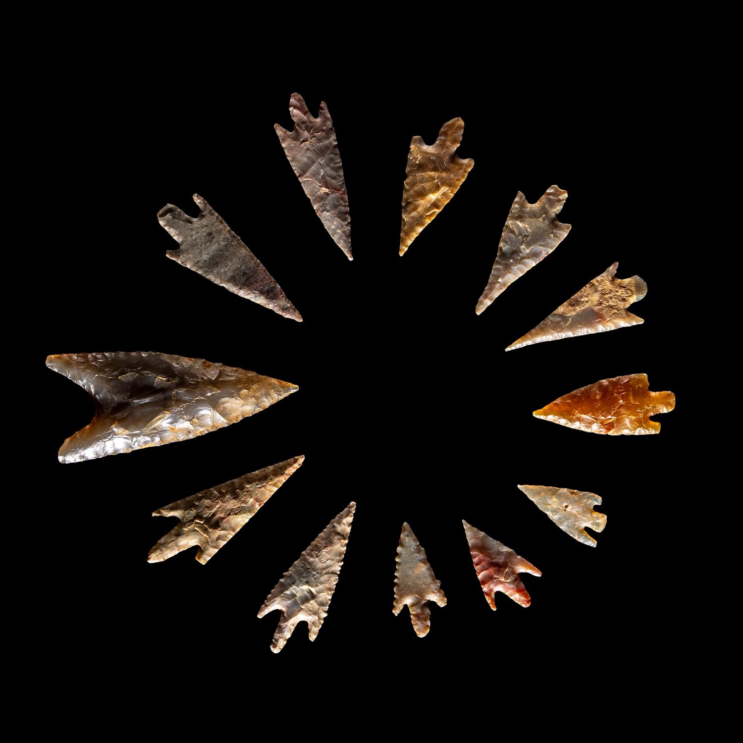 101 Neolithic Flint Points