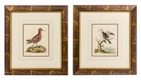 Two Ornithological Prints 9 3/4 x 7 3/4 inches (visible).
