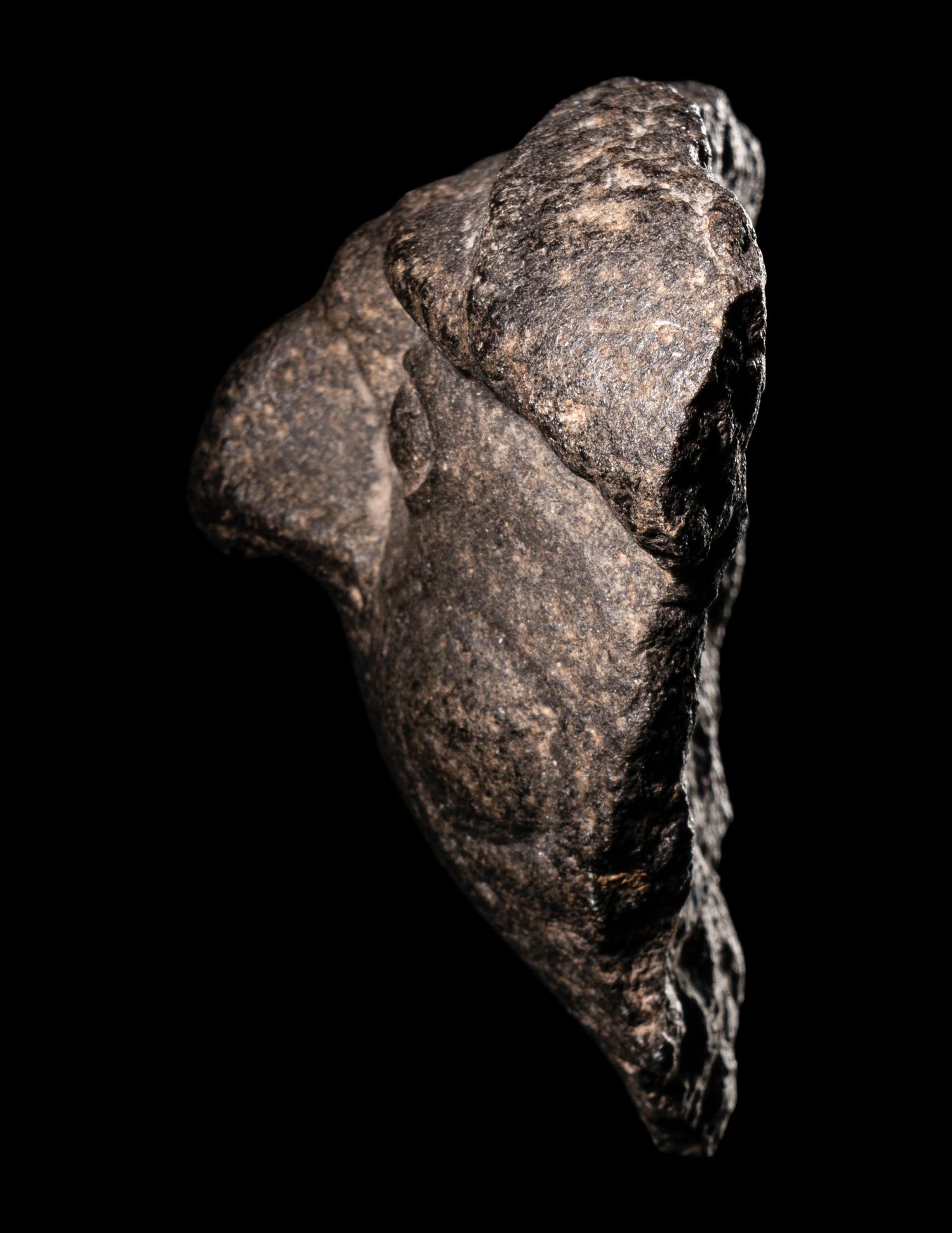 An Egyptian Basalt Falcon Face Fragment