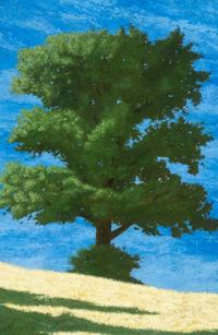 A Tree of Life I