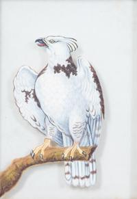 An Indian Reverse Painting on Glass 6 x 4 inches. — 19TH CENTURY