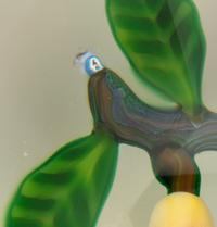 A Two Plums Glass Paperweight, a Chinese Pansy and Bud on Latticino Basket Glass Paperweight and a Pear Glass Paperweight