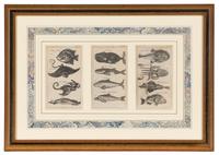 A Set of Seven Framed Groups of Ichthyological Engravings