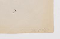 A group of four photographs ( Cactus [Nice], before 1900 ; Pommiers [et blés] , 1910 or earlier; Sapin ([Petit] Trianon , 1910 or earlier; Palmier , before 1900)