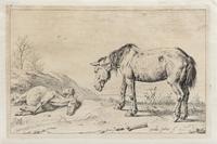 Paulus Potter, (Dutch, 1625-1654), An Old Horse and a Dead Horse, 1652