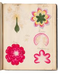 [SPECIMEN ALBUM - ARTIFICIAL LEAVES AND FLOWERS]. Collection of artificial leaves and flowers. [France, ca 1880?].