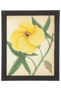 A Set of Eighteen Framed English Botanical Watercolor Illustrations