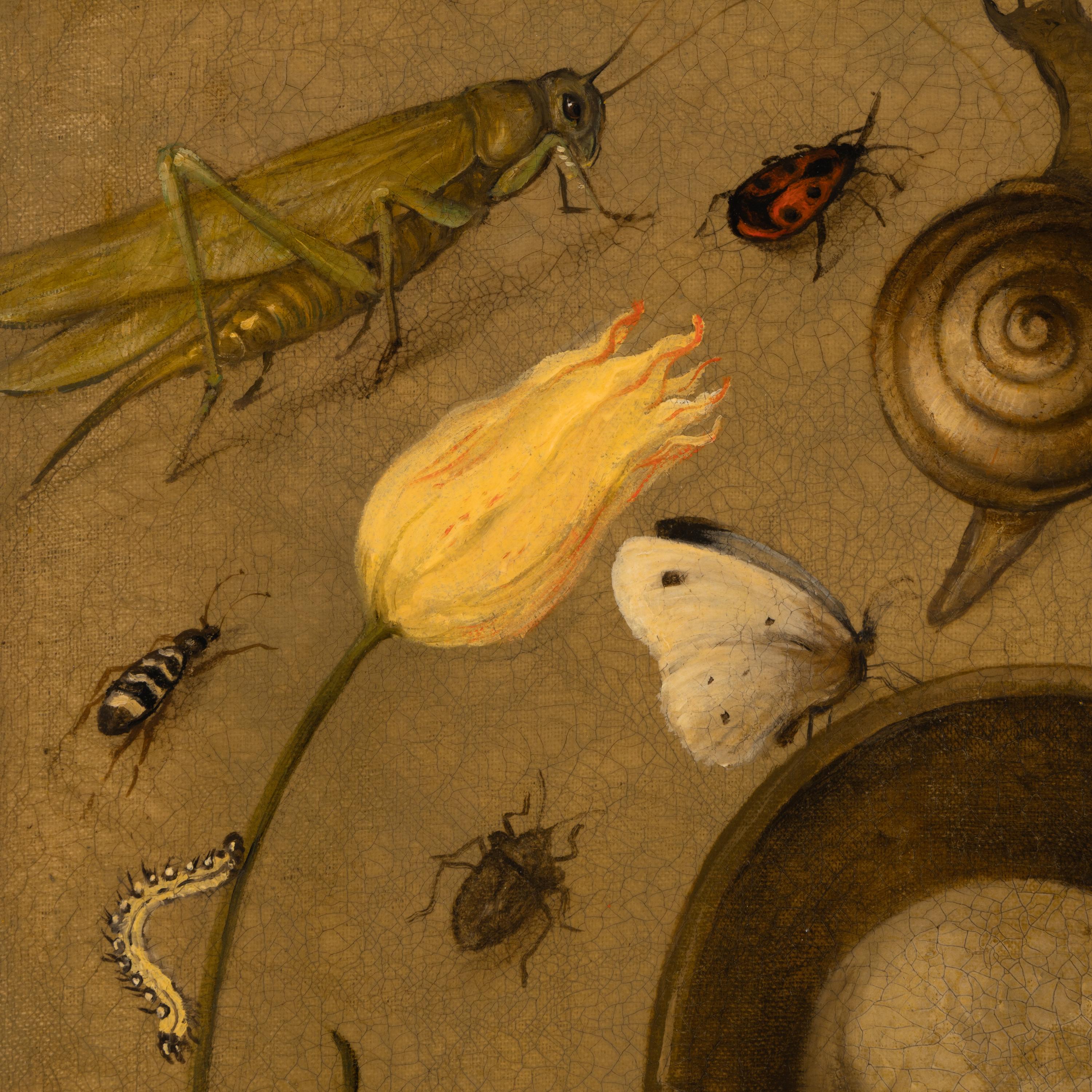 Follower of Joris Hoegfnagel (Flemish, 1542-1601) — Vanitas Still Life with Insects