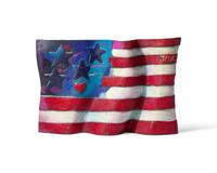 American Flag, 1991